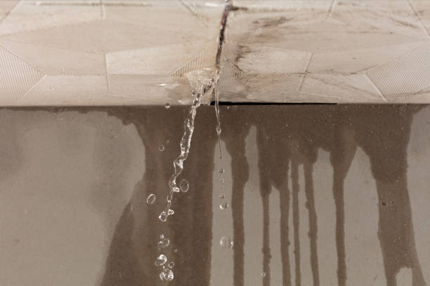 Professional Structural Drying technician working in Esmond, IL